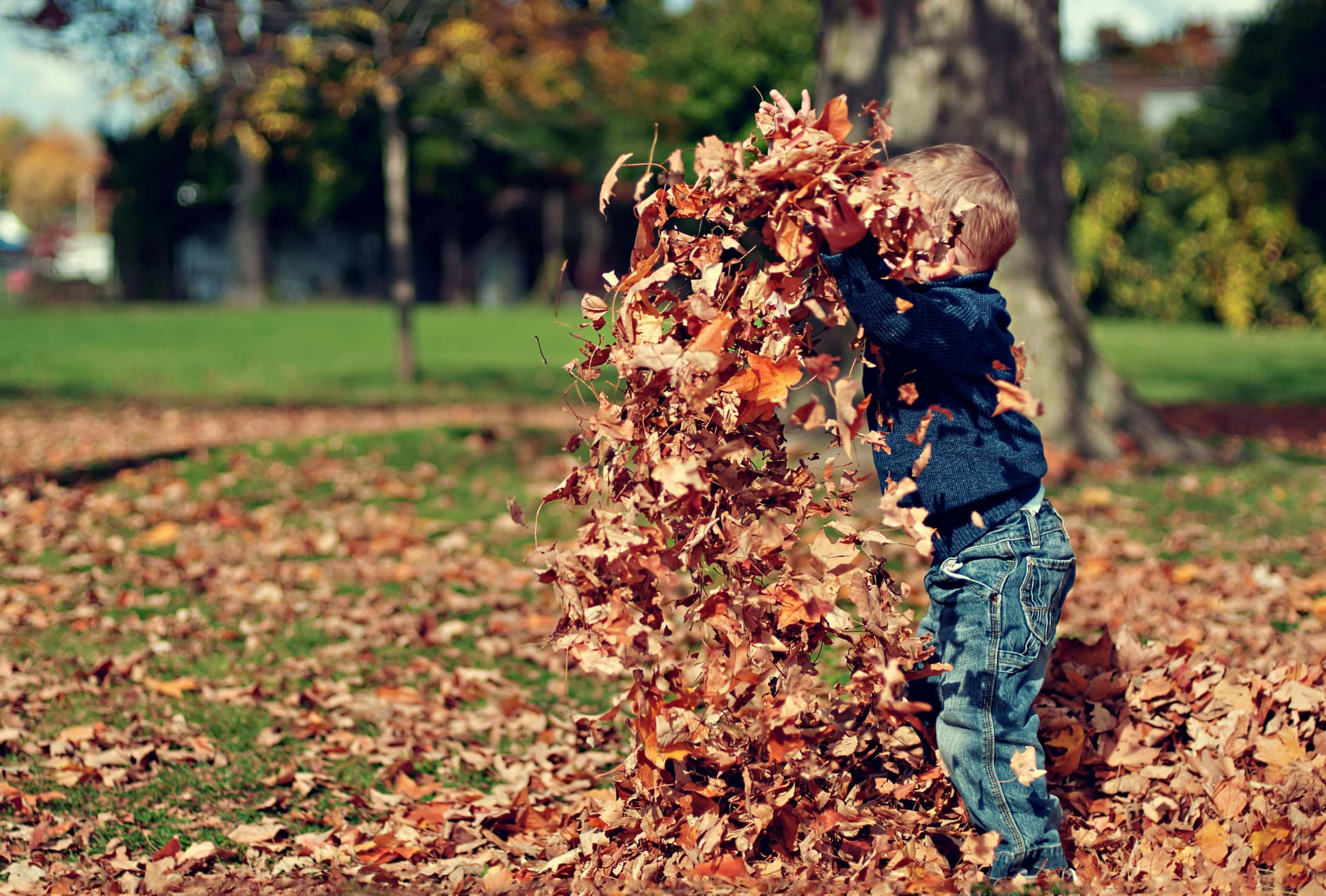 Toddler throwing autumn leaves in the air outdoors